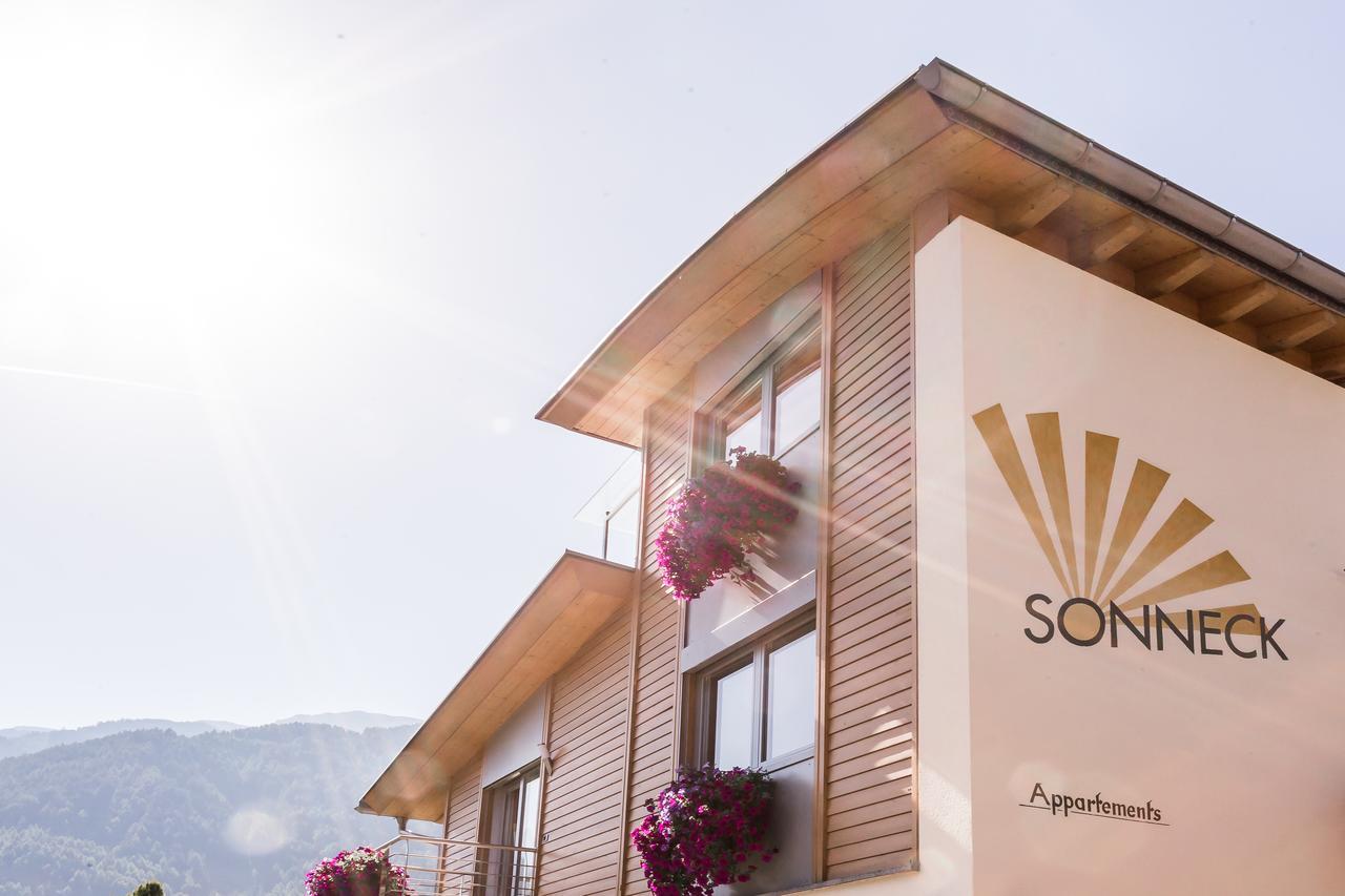 Appartements Sonneck フーネス エクステリア 写真